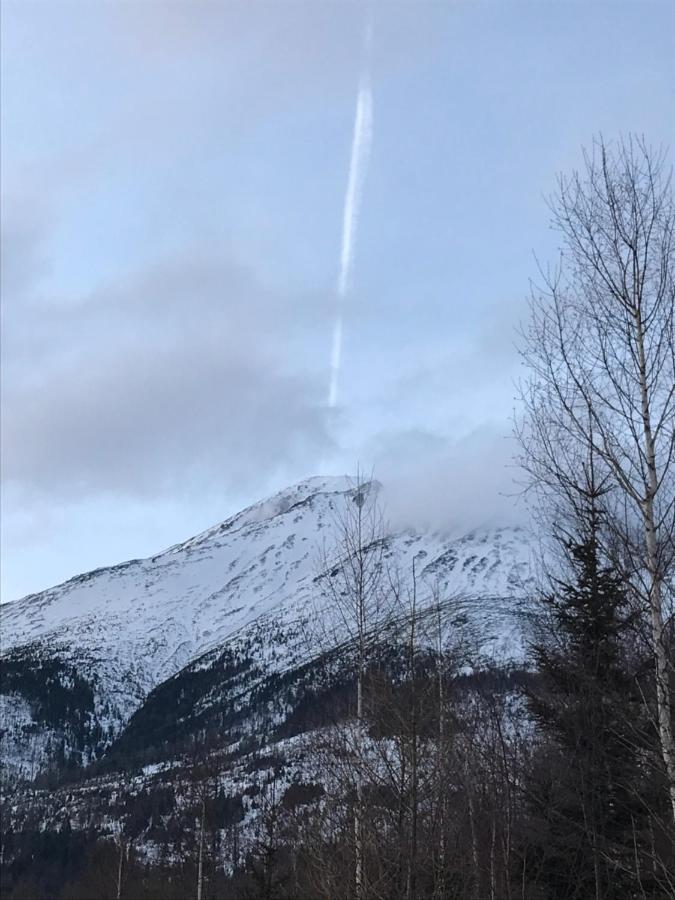 Bellevue Apartments Vila Vlasta Stary Smokovec Vysoké Tatry Kültér fotó